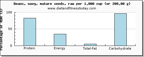 protein and nutritional content in navy beans